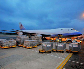 希普供应链 欢迎访问！